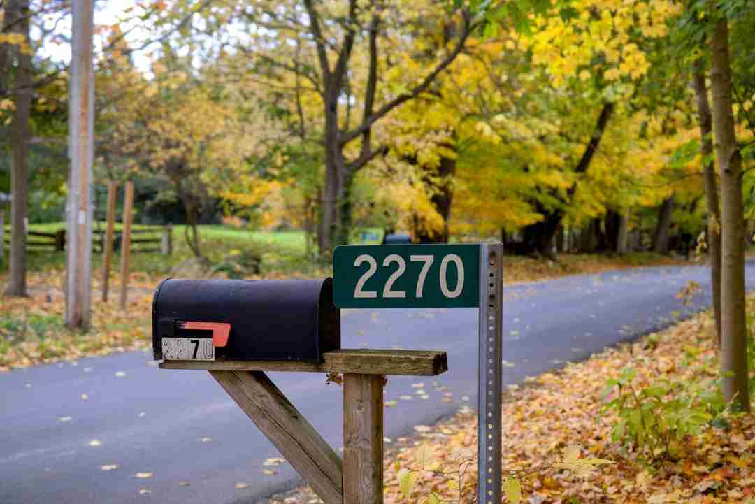 A black mailbox with the number 2270 on a green sign stands beside a quiet road lined with trees whose leaves are turning yellow, indicating an autumn setting. Fallen leaves cover parts of the ground and road.